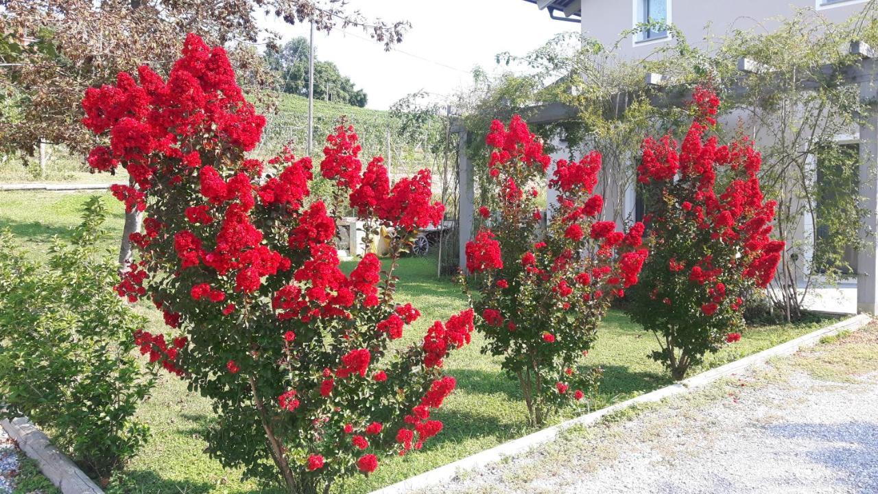 Casa Nalin Apartman La Morra Kültér fotó